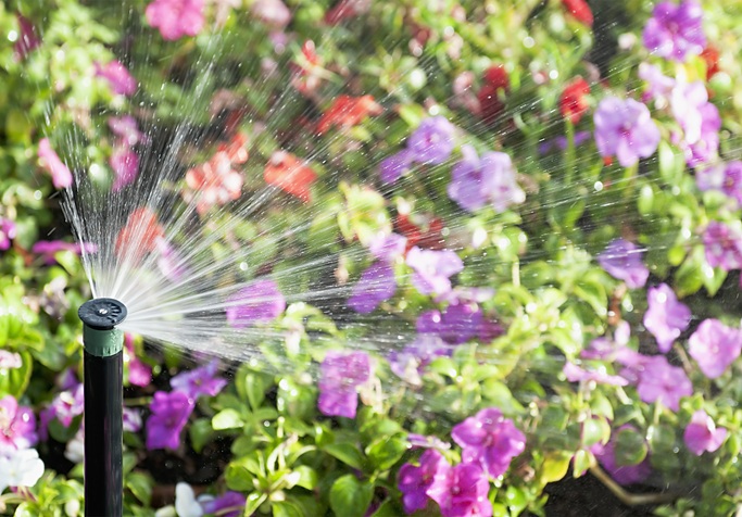 automatic sprinkler watering a flowerbed